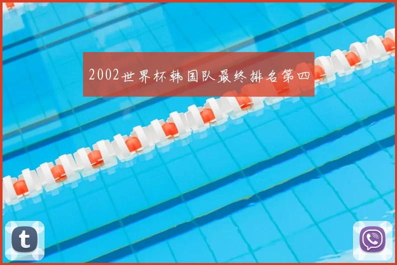 2002世界杯韩国队最终排名第四