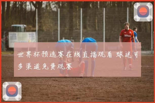 世界杯预选赛在线直播观看 球迷可多渠道免费观赛