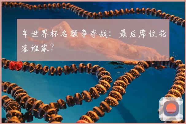年世界杯名额争夺战:最后席位花落谁家?