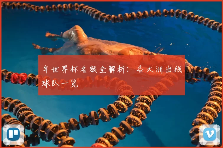 年世界杯名额全解析：各大洲出线球队一览