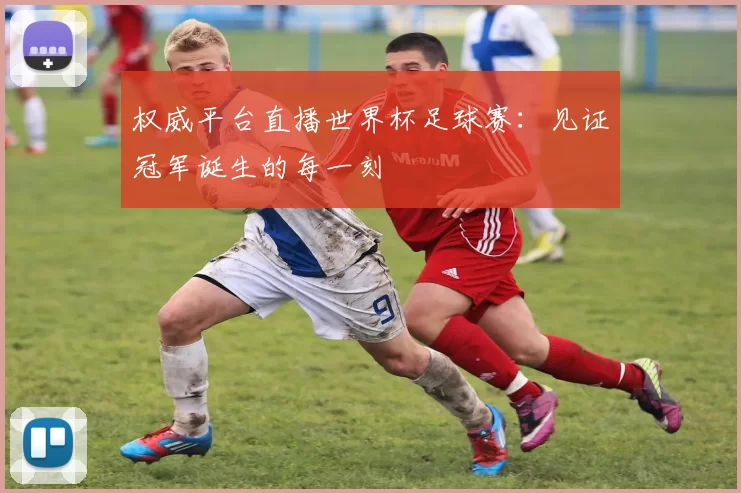 权威平台直播世界杯足球赛:见证冠军诞生的每一刻