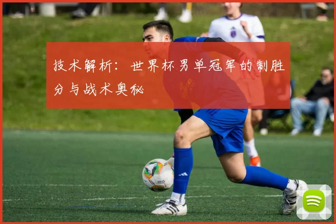 技术解析:世界杯男单冠军的制胜分与战术奥秘